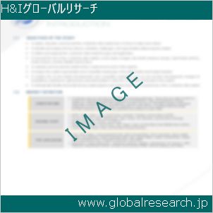 グローバルリサーチ調査レポートのイメージ
